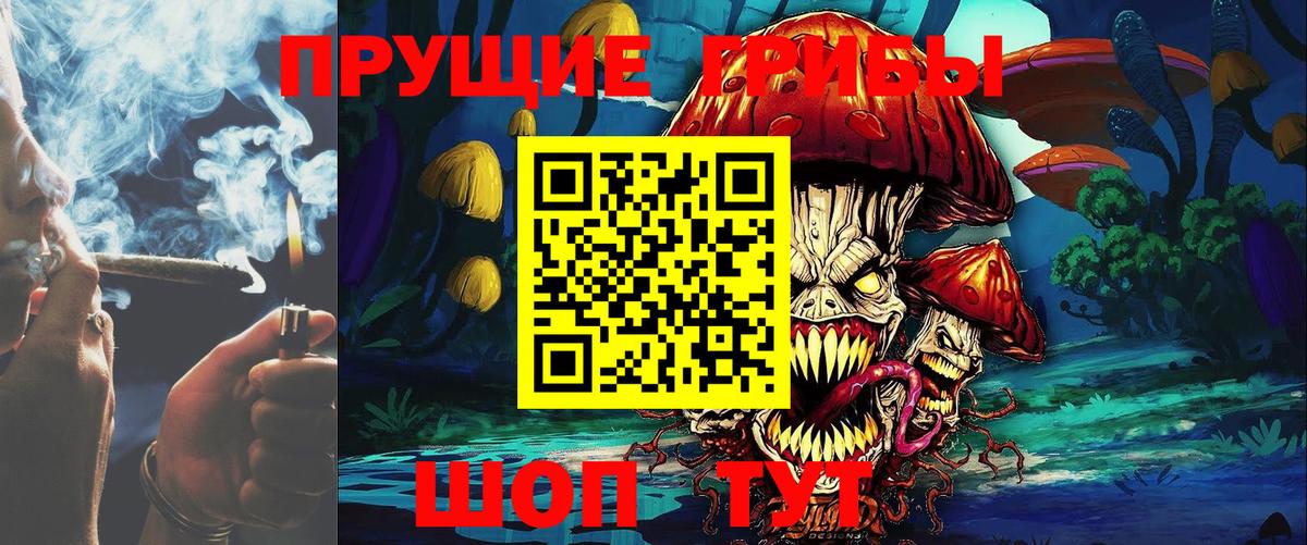 Краснознаменск  Галлюциногенные грибы мицелий  Вход с VPN 