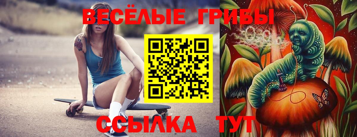 Псилоцибиновые грибы Magic Shrooms Краснознаменск